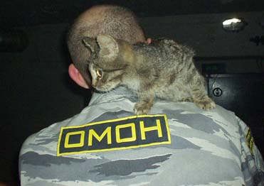 Omon Patch